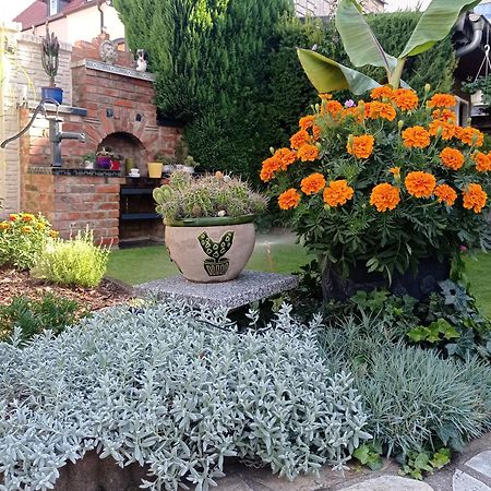 קדלינבורג Usis_Ferienwohnung Im Harz מראה חיצוני תמונה