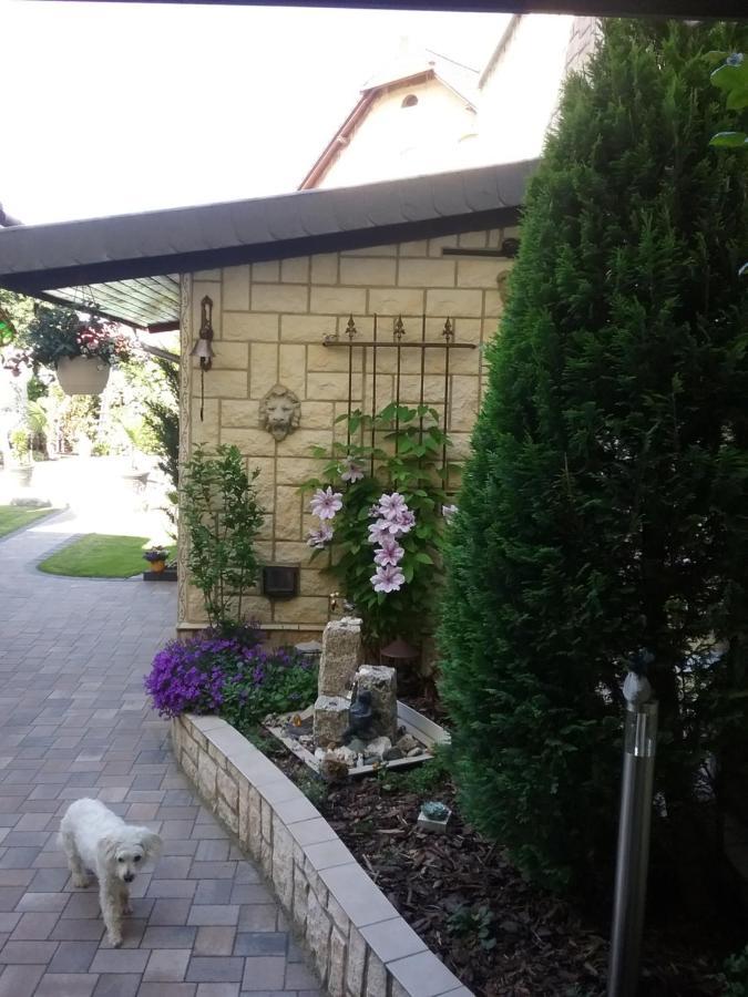 קדלינבורג Usis_Ferienwohnung Im Harz מראה חיצוני תמונה