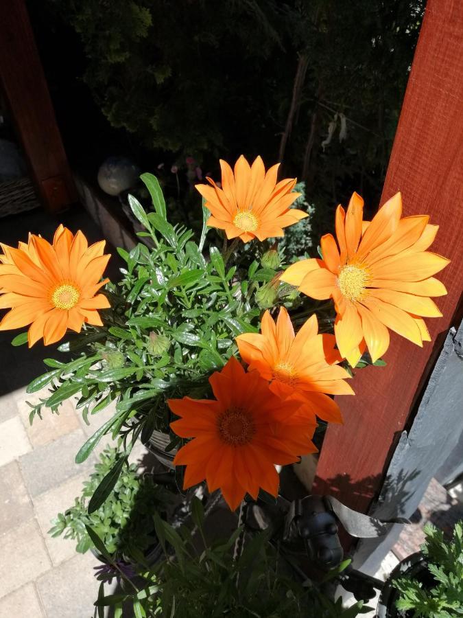 קדלינבורג Usis_Ferienwohnung Im Harz מראה חיצוני תמונה
