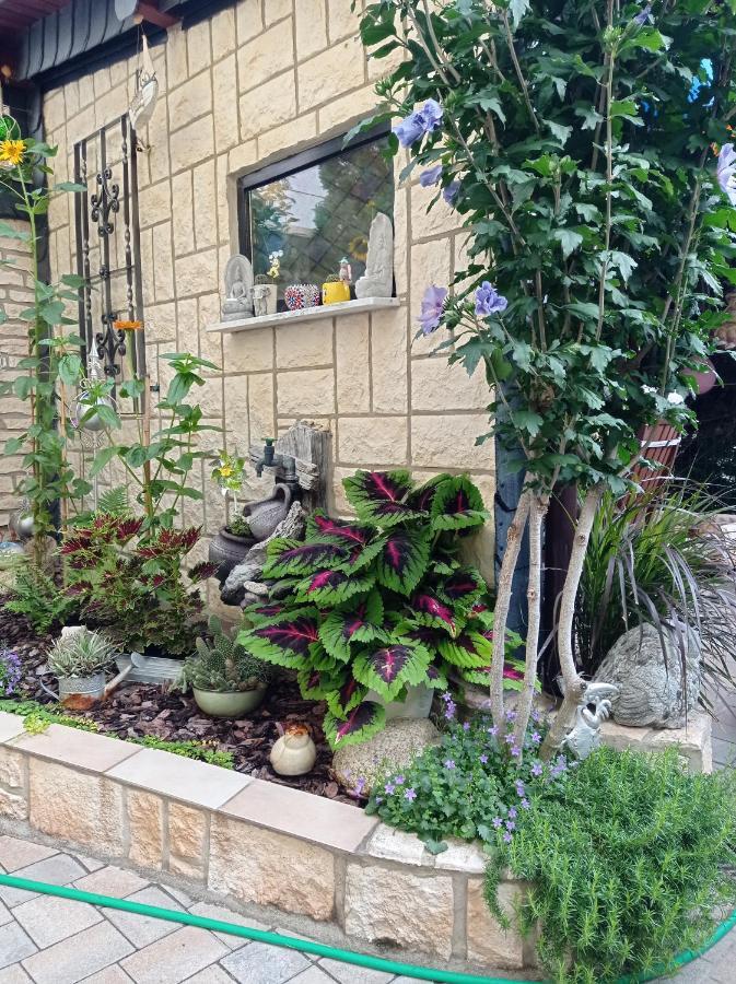 קדלינבורג Usis_Ferienwohnung Im Harz מראה חיצוני תמונה