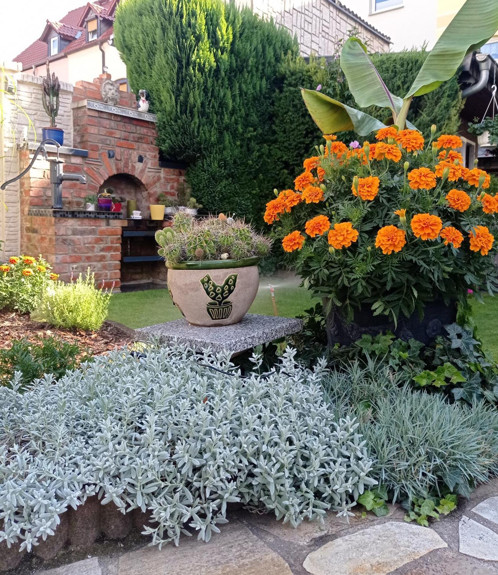 קדלינבורג Usis_Ferienwohnung Im Harz מראה חיצוני תמונה